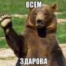 seregha_bo