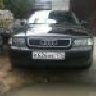 andrey534