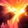 PhoeniX_YolA