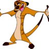 DSH