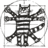 eRazer252