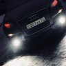 Wolf031