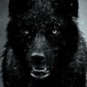 Audiblack001