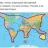 Александр Вас