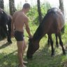 андрей нелаев