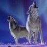 WolfHound