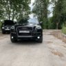 krolya30