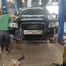 medvedev.89