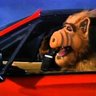 Alf A