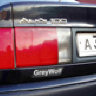 GreyWolf