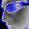jalt
