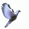 korney_71
