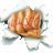 орех
