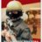 medved80