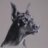 doberman_dsl