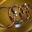 Edvard_102ru