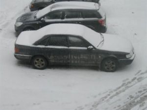 IMG 0014 (Средний)