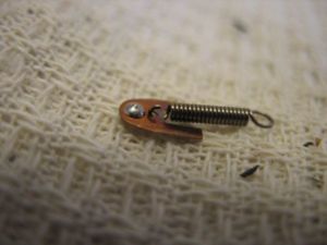 IMG 5860
