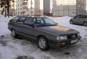 моя ласточка