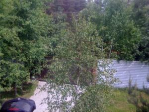 IMG 0051