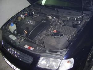 PIC 0044