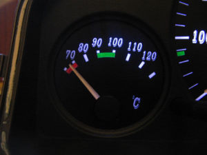 IMG 0192 copy