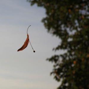 невидимая нить