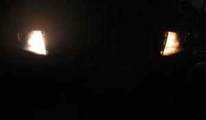 Piaa H-725 Левая --- правая штатная лампа