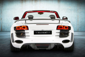 1321993135 r8 mansory 4
