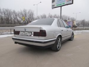 IMG 4387