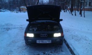 IMAG0338