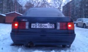 IMAG0350