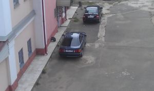 IMAG0722