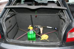 IMG 9239