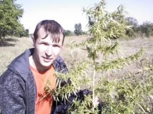 это превращает мозги в чипсы)))