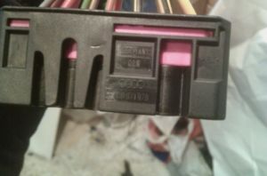 IMAG0434