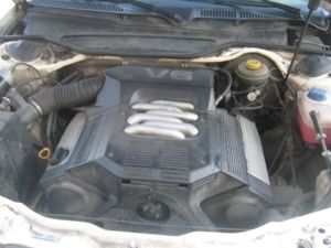 IMG 0745