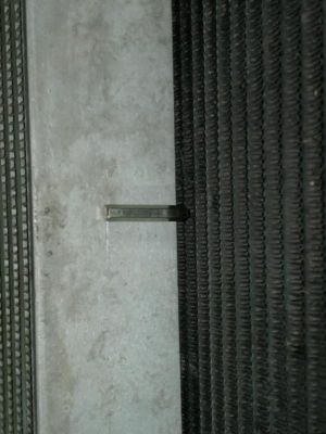 25032012390