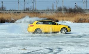 11DSC 0407 копия