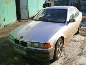 Изображение 1733