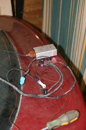 IMG 7567