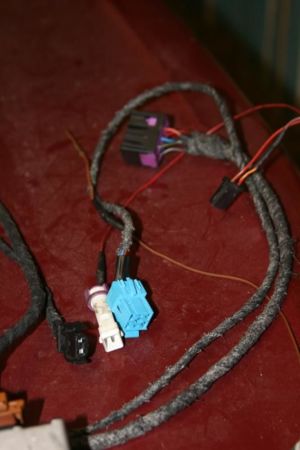 IMG 7570