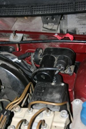 IMG 7575