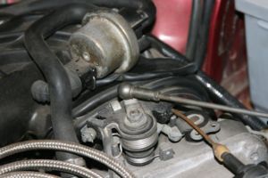 IMG 7578