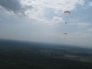 IMG 2470