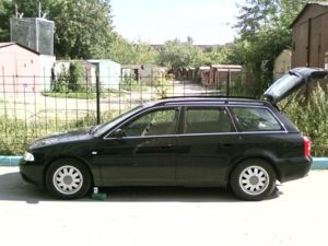 Klirens 2011 004