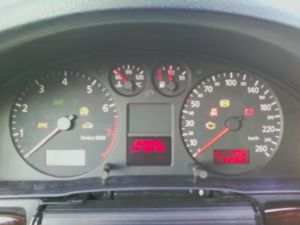 Klirens 2011 008