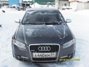 SDC12219