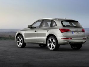 audi q5 small  4