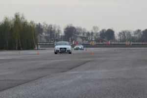 IMG 4950